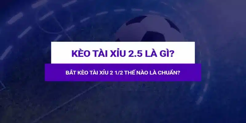 Kèo tài xỉu 2.5 là gì là loại cược đang rất được yêu thích trong bóng đá