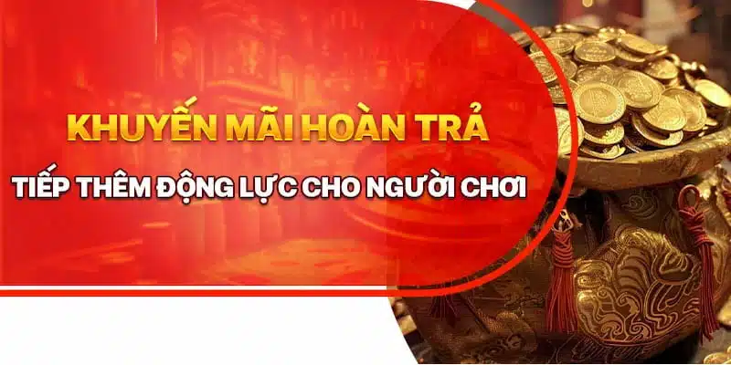 Bạn đừng lo lắng khi thua quá nhiều tiền, ABC8 sẽ hỗ trợ cho bạn 5% giá trị thua cược